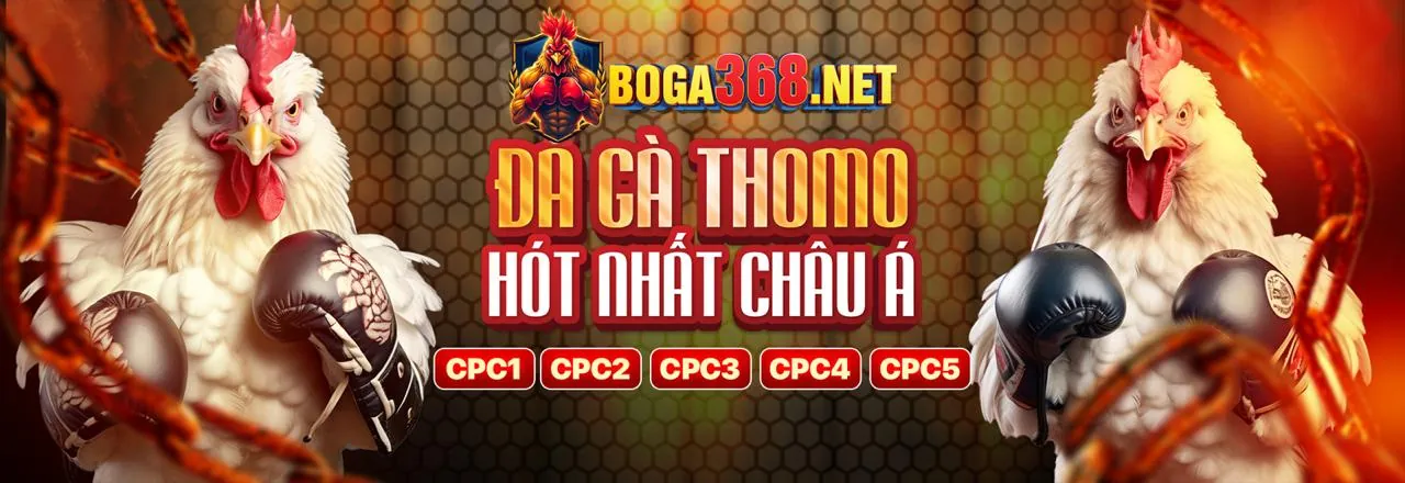 Hình ảnh tổng quan HF88 Trang Chủ Chính Thức
